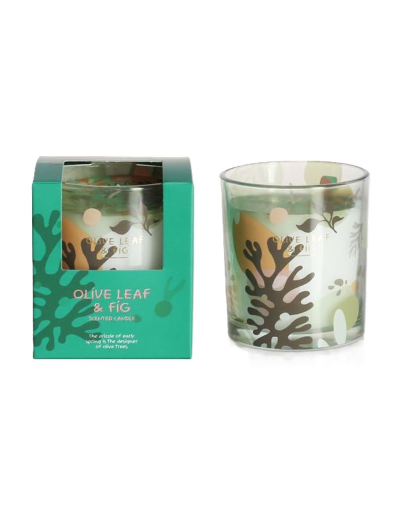 Nice Series Olive Leaf & Fig Scented Candle